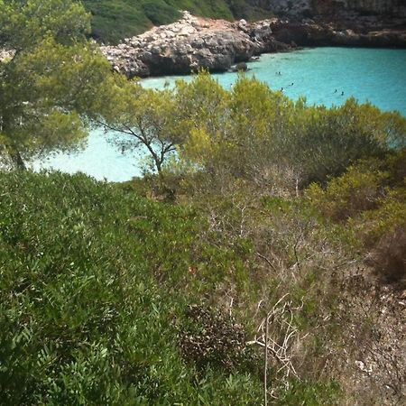 Finca Son Blat Porto Cristo Eksteriør billede