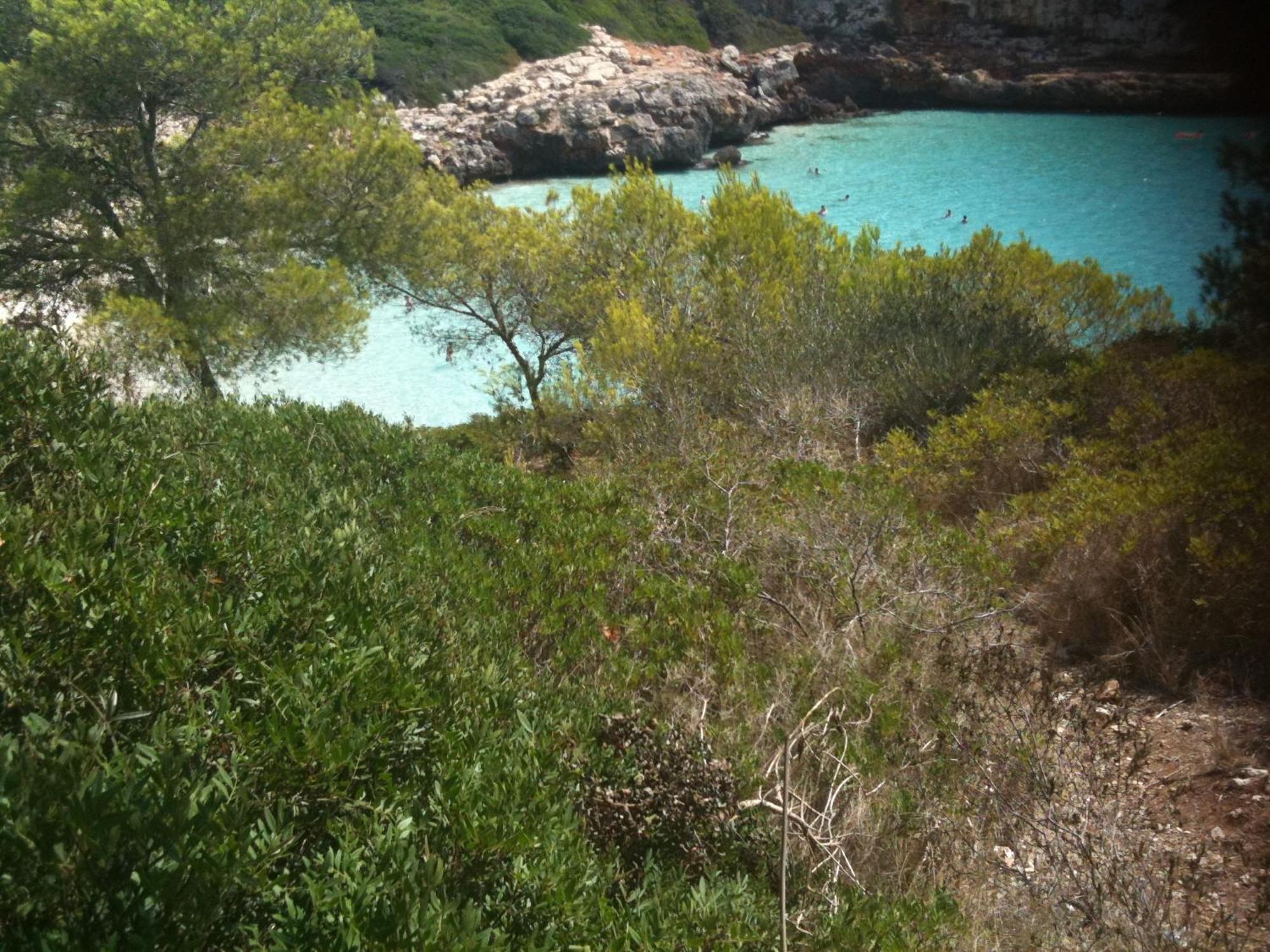 Finca Son Blat Porto Cristo Eksteriør billede
