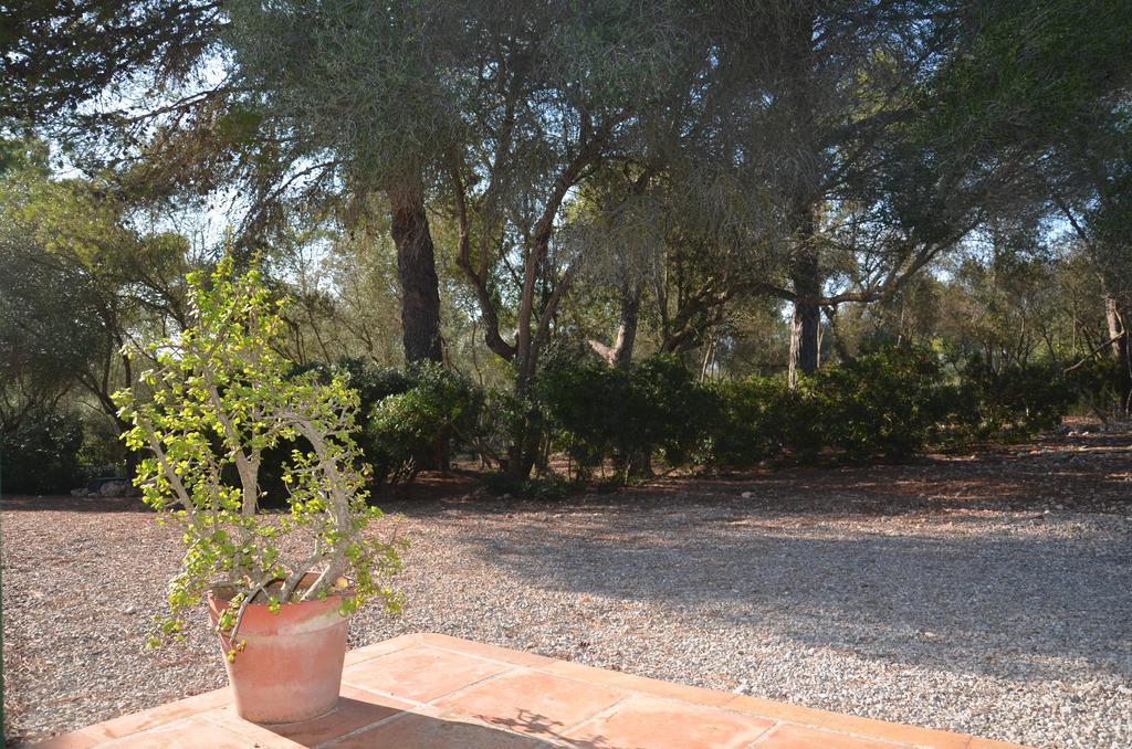 Finca Son Blat Porto Cristo Eksteriør billede